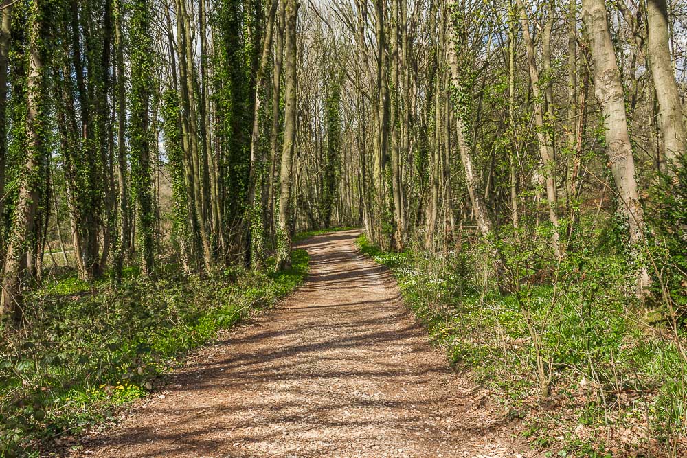 Crich Chase
